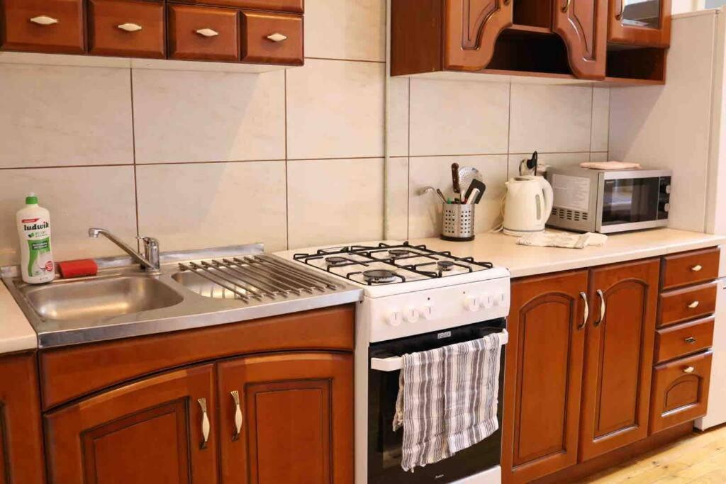 Soltyka 5 Rooms Apartment Krakau Buitenkant foto